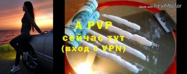 бошки Белокуриха
