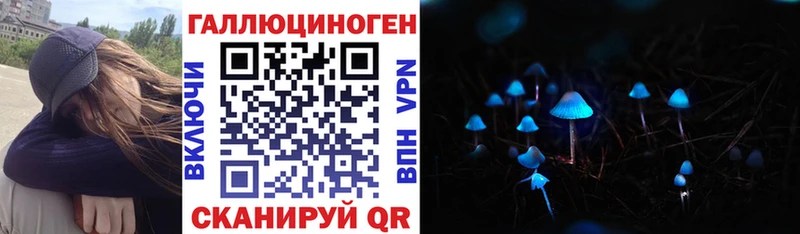 Купить  Арамиль  Псилоцибиновые грибы мицелий 